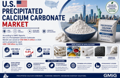 United States Precipitated Calcium Carbonate Market