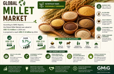 Global Millet Market Size Growth Trends 2026